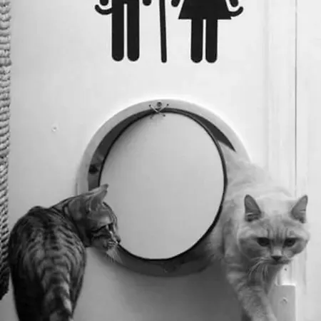 La Cot Alojamento de Acomodação e Pequeno-almoço