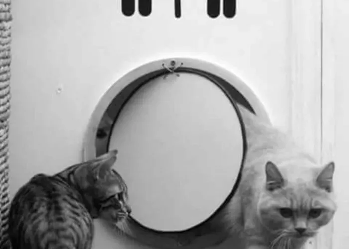 La Cot Oda ve Kahvaltı